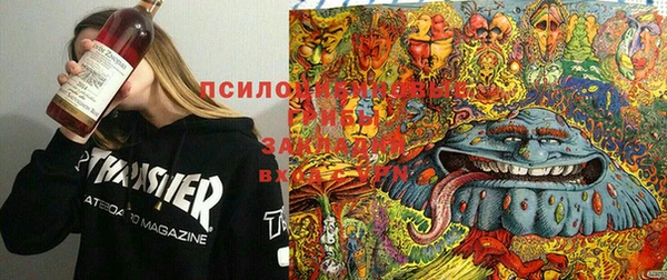 синтетический гашиш Алексеевка