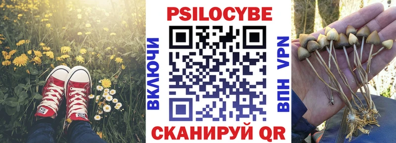 хочу наркоту  Киселёвск  Галлюциногенные грибы MAGIC MUSHROOMS 